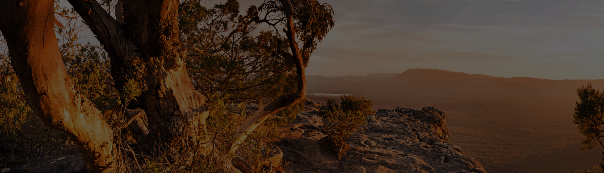 Australian art, imagery and cultural celebration of landscape at Koh Living Australian Gifts