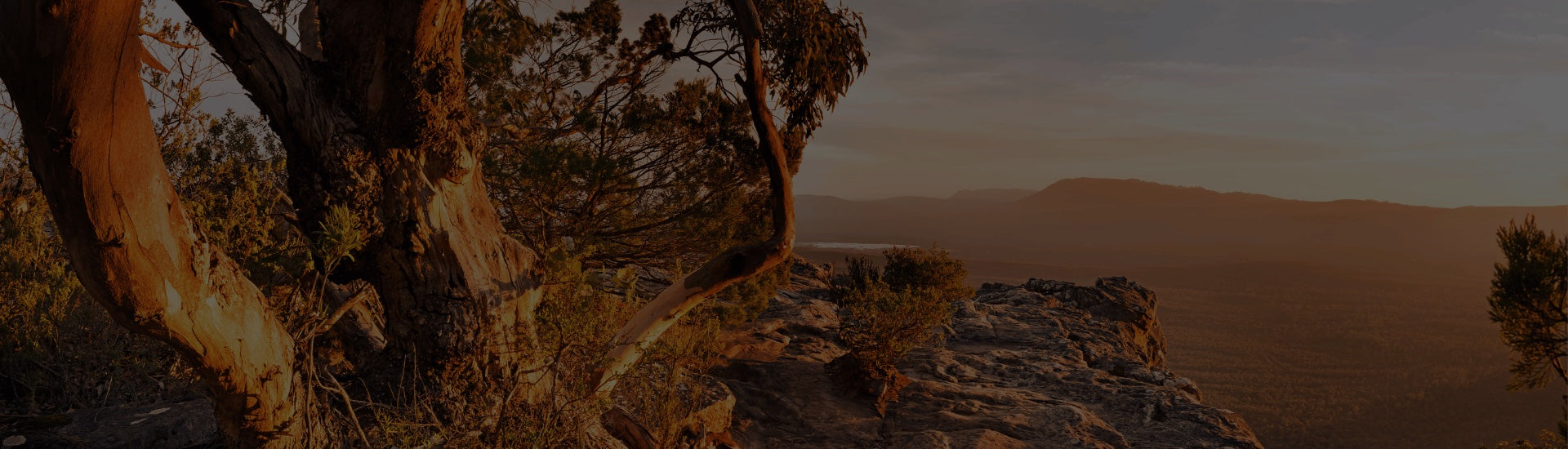 Beautiful scene of Australian outback and bushland