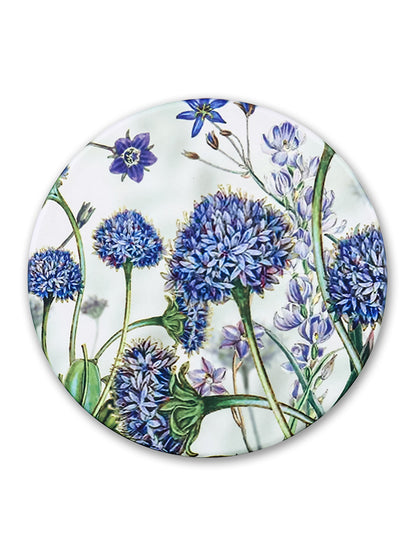 Brunonia Australis Ceramic Coaster