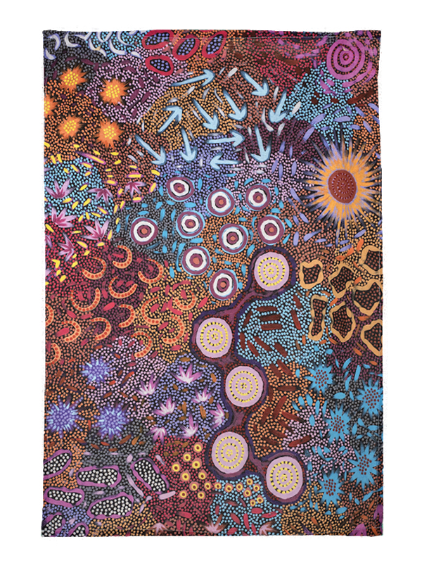 Aboriginal Women&